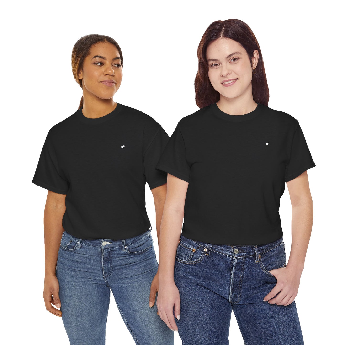 Unisex Premium Embroidered Kiwi - Black T-Shirt (Free Shipping)