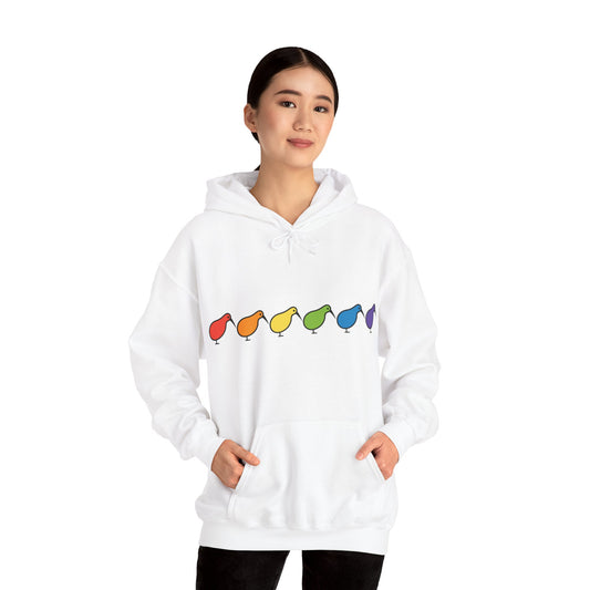 Unisex Rainbow Kiwi Sweatshirt